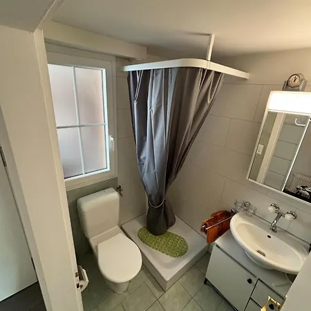 Apartment Cozy With A View Flims